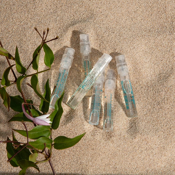Samples of Veronique Gabai's best-selling frangrances lying in the sand surrounded by natural plants. 