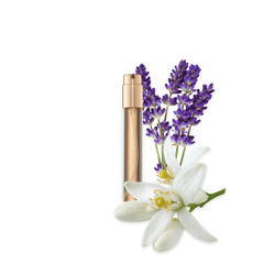Eau de Parfum - Musk, seductive and comforting Perfume EAU D'AZUR