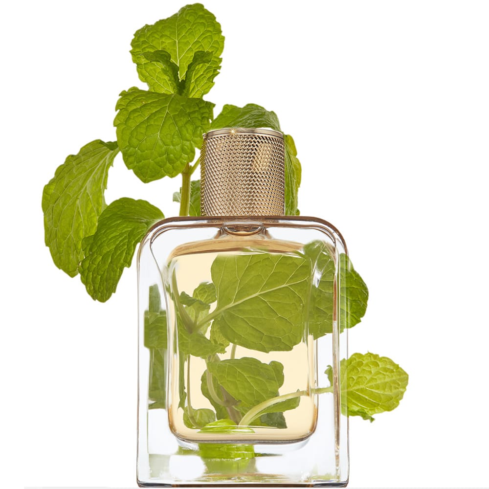 Délices des Bois — bottle with figs suspended in fragrance
