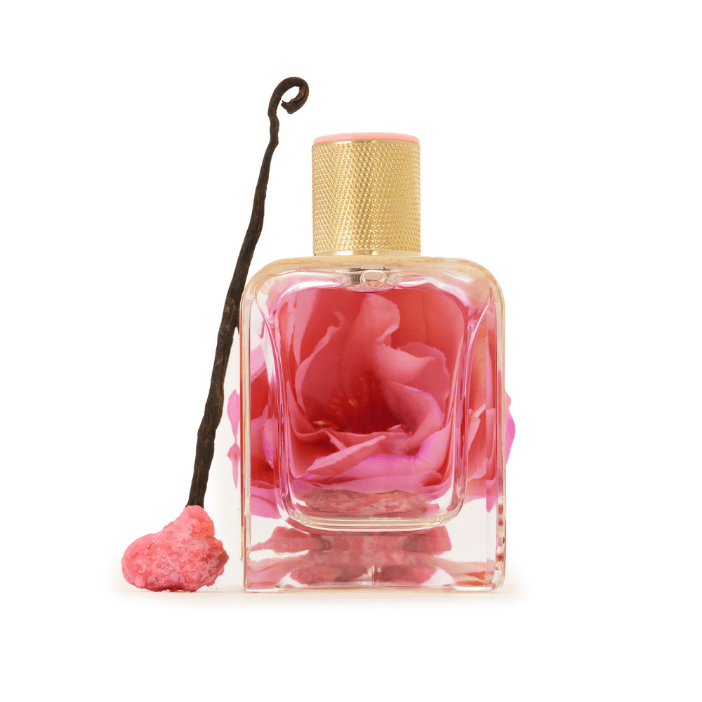 Rose Première