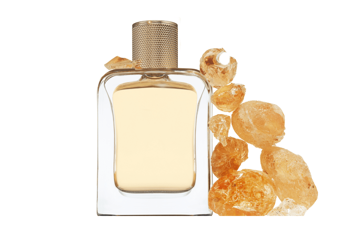 Eau de Parfum - Sinful Ambery Woody Perfume SEXY GARRIGUE - 85 ml