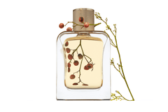 Eau de Parfum - Breezy Marine Floral Perfume SUR LA PLAGE - 85 ml